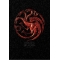 Camiseta GOT House of the Dragon