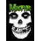 Manga Longa Masculina Misfits 3