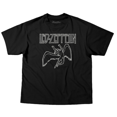 Camiseta OVERSIZED 220g Led Zeppelin 5