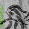 Camiseta Deftones 7