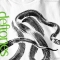 Camiseta Deftones 7
