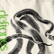 Camiseta Deftones 7
