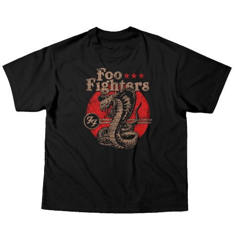 Camiseta OVERSIZED 220g Foo Fighters 12