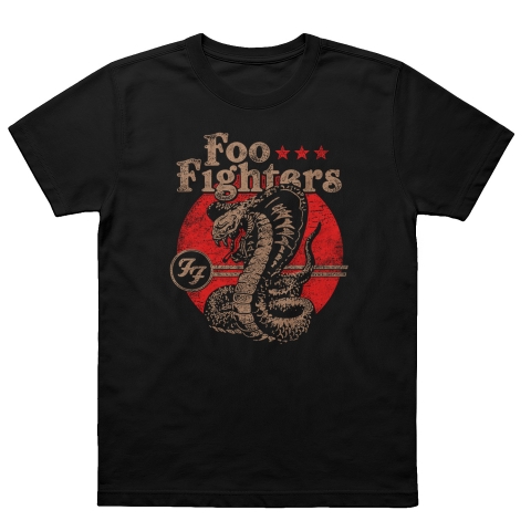 Camiseta Foo Fighters 12