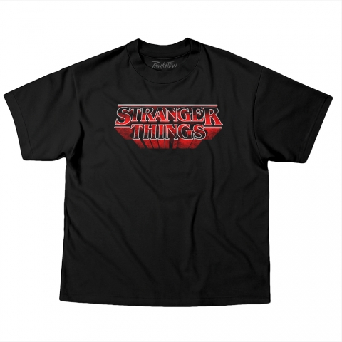 Camiseta OVERSIZED 220g Stranger Things 5