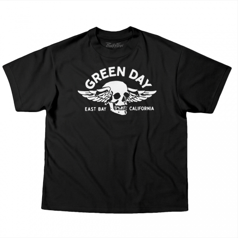 Camiseta OVERSIZED 220g Green Day 15 Skull